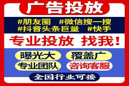 行业专家解析SEM代运营成功案例